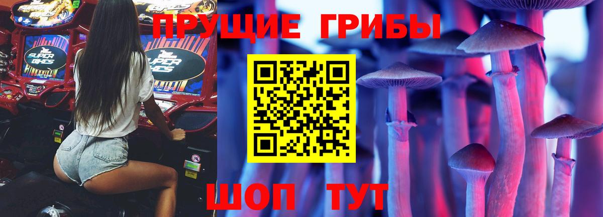 Псилоцибиновые грибы Psilocybe  Вход с VPN  хочу   Черкесск  Псилоцибиновые грибы мицелий 